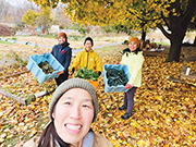 如何助性工作者停奏哀歌？